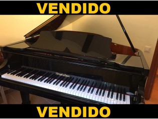 PIANO WEND & LUNG 178 MOD PROFESSIONAL II pianoslowcost.es