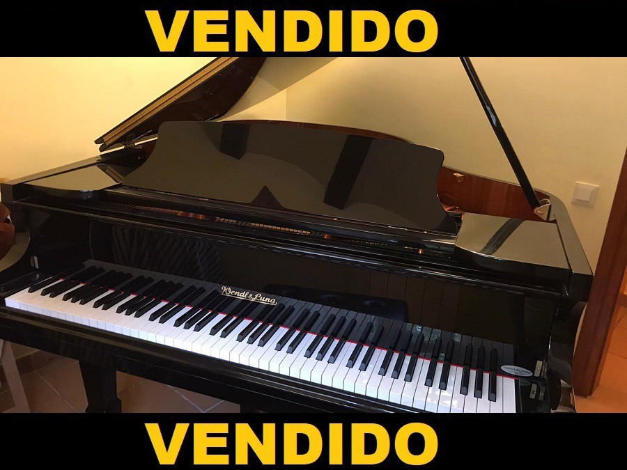 PIANO WEND & LUNG 178 MOD PROFESSIONAL II pianoslowcost.es