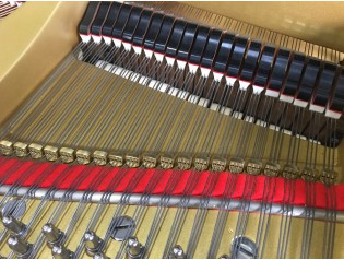 PIANO COLA YAMAHA G7 SIMILAR A C7