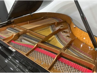 piano de cola player disklavier