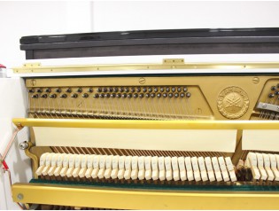 piano blanco u1