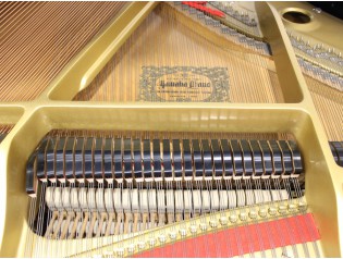 piano cola g3 c3 c3x