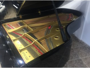 PIANO DE COLA YAMAHA C7 EQUIVALENTE C7X RX7 GX7