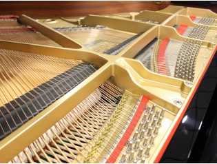 PIANO COLA GAMA ALTA PROFESIONAL RX3 GX3 C3 C3X